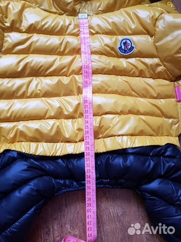 Одежда для собак Одежда для собак