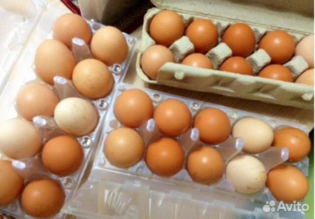 Куриные домашние яйца купить на Зозу.ру - фотография № 2