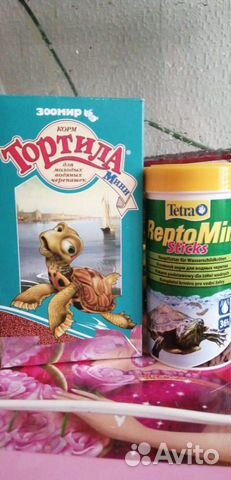 Черепаха купить на Зозу.ру - фотография № 5