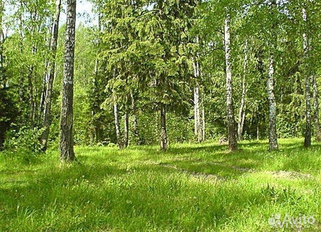 Участок 10 сот. (ИЖС)