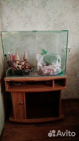 Продается аквариум с тумбой и аквареумные принадле купить на Зозу.ру - фотография № 1