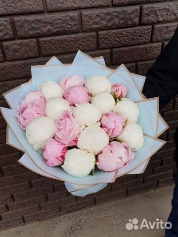 Букет Пионов 11 15 25 35 51 Пион Доставка Цветы Букет Пионов 11 15 25 35 51 Пион Доставка Цветы