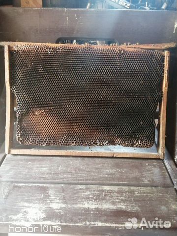 Рамки с сушью