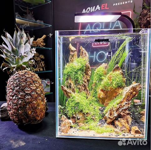 Аквариум aquael Аквариум aquael