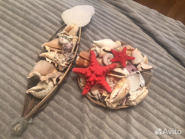Набор ракушек