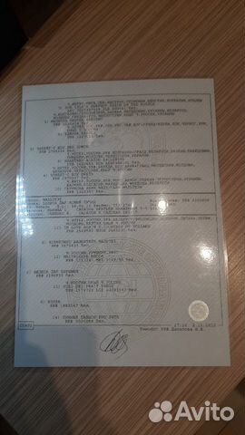 Болонки. Щенок мальчик-1 мес