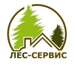 Проект сервис лесной 19