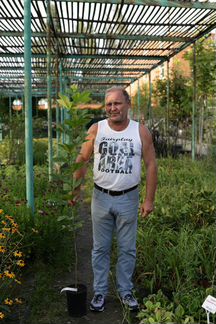 Питомник экзотических и уличных растений,подарки