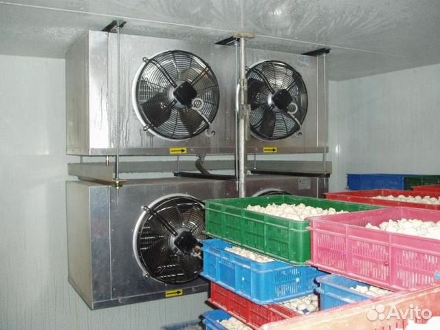 Камера Шоковой заморозки Шокфростер бу В наличии