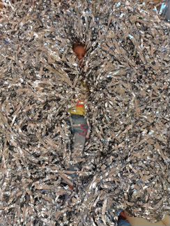 Серебряное шоу