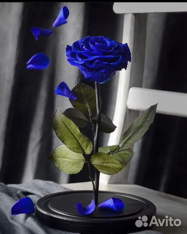 Вечная роза в колбе