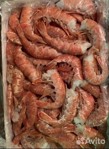 Лангустины креветки С1