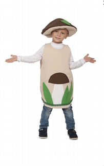 Карнавальный костюм Гриб Боровик (аренда)