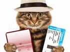 Ветеринарный паспорт животному объявление продам
