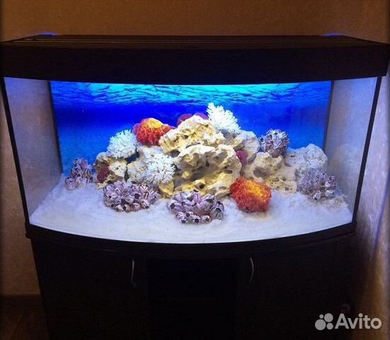Аквариум панорамный 300 литров