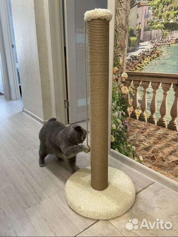 Когтеточка для кошек