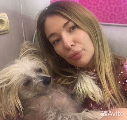 Передержка собак/кошек