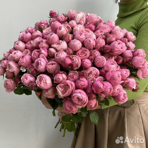 25 пионовидных роз кустовых. Мини пионы