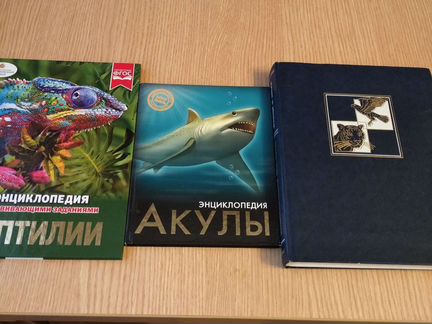 Детская энциклопедия