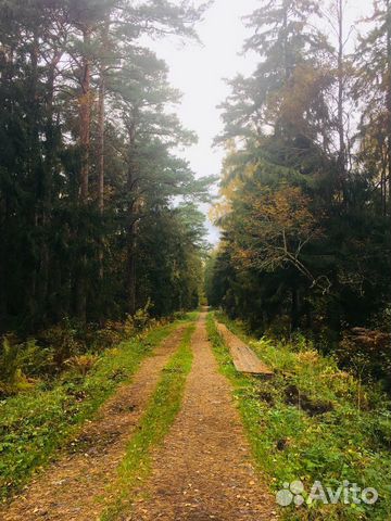 Экскурсия на Куршскую Косу