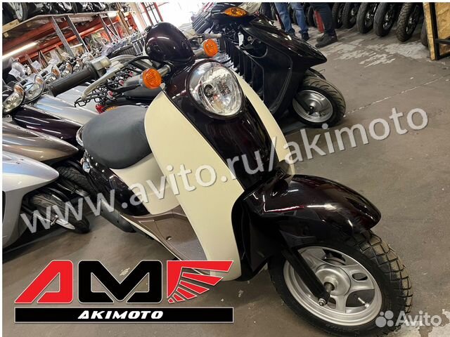 Honda scoopy af55