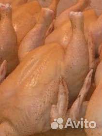 Курочка, индоутка, индейка с бесплатной доставкой