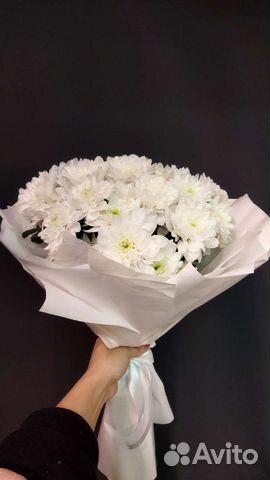 Хризантемы в Комсомольске