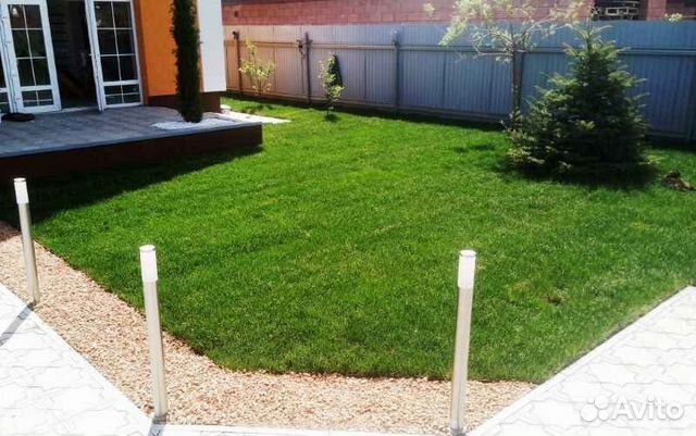 Укладка рулонного газона купить в Москве | Товары для дома и дачи | Авито