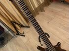 5 струнная бас гитара Warwick thumb bolt on объявление продам