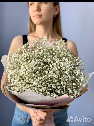 Гипсофила белая