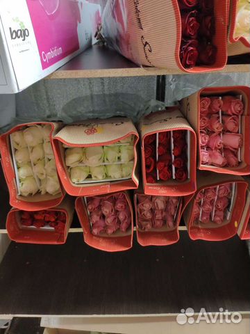 Цветы, Розы Эквадор. Оптом от