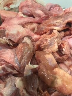 Мясо для собак