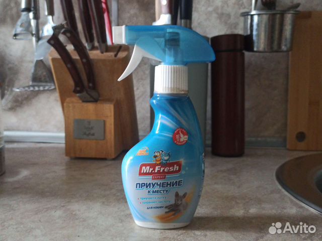 Приучение к лотку