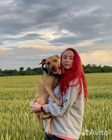 Передержка собак,Зоогостиница