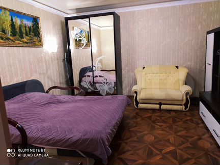 1-к. квартира, 25,2 м², 1/1 эт.