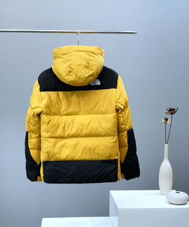 Мужской спортивный пуховик The North Face