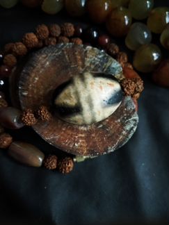 Чокер из бусины дзи «Зуб тигра»