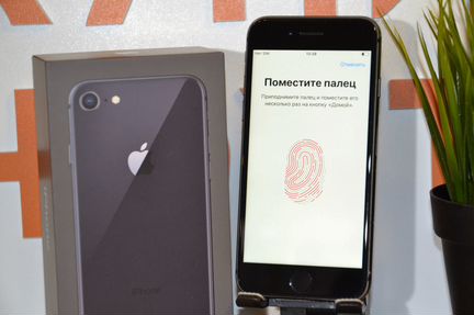 iPhone 8 64Gb Рст Оригинал