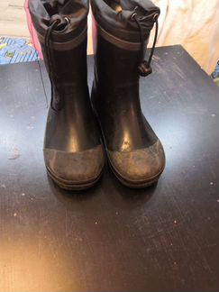 Резиновые сапоги Zebra