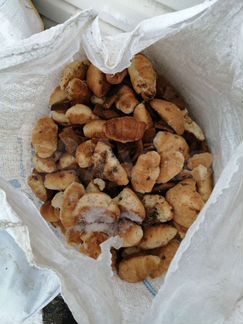 Печенье на корм животным