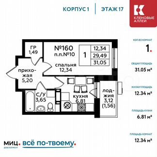 1-к квартира, 31.1 м², 17/17 эт.