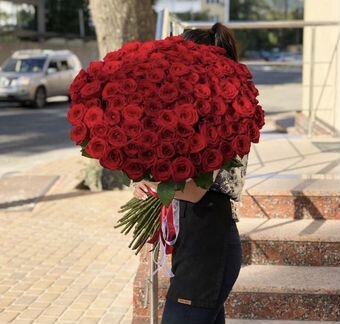 Цветы розы букеты 101 55 51 35 25 роз