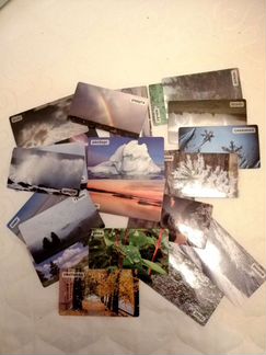 Школа 7 гномов, Умница