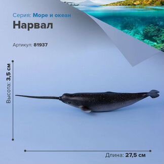 Фигурки животных, рыбы- Тупорылый ремнезуб,Нарвал
