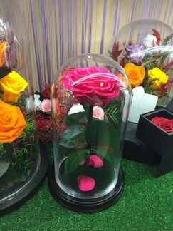 Роза в колбе, премиум