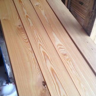 Европол лиственница