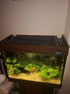 Аквариум с тумбой 100л