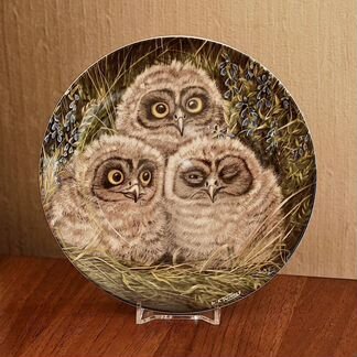 Wedgwood тарелка короткошёрстные совы, Англия
