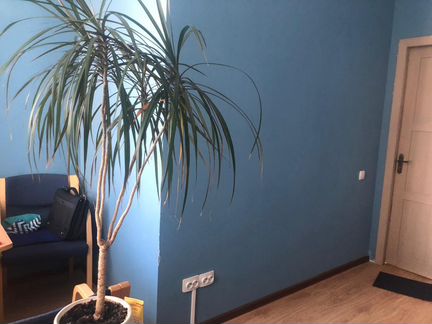 Сдам Офисное помещение, 6,29 м²