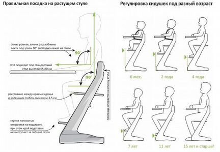 Растущий стул